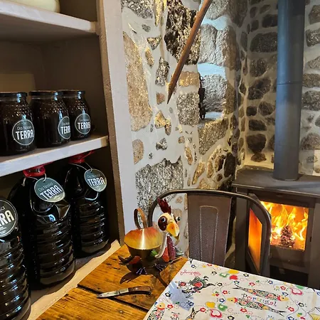 Chalet Da Raposa Oliveira do Hospital